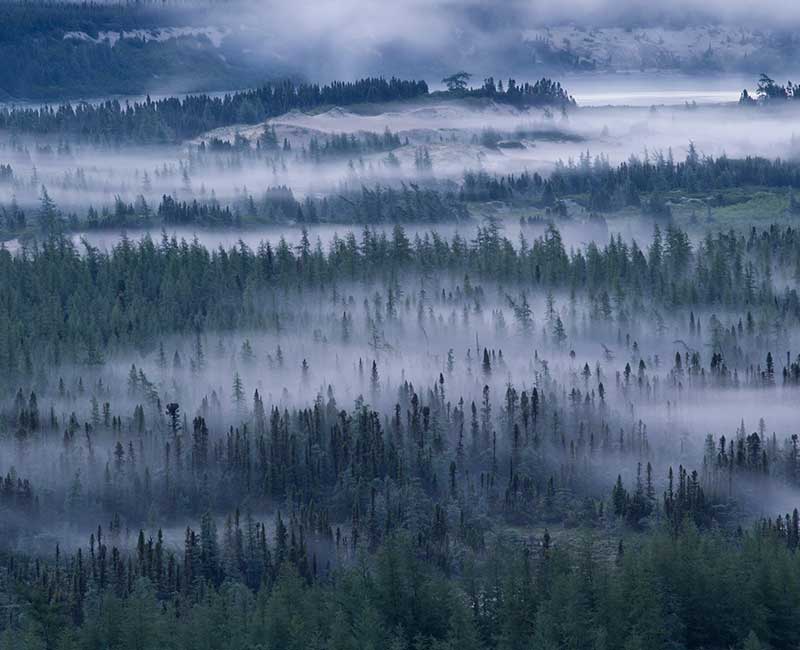 Psychological & Spiritual Issues