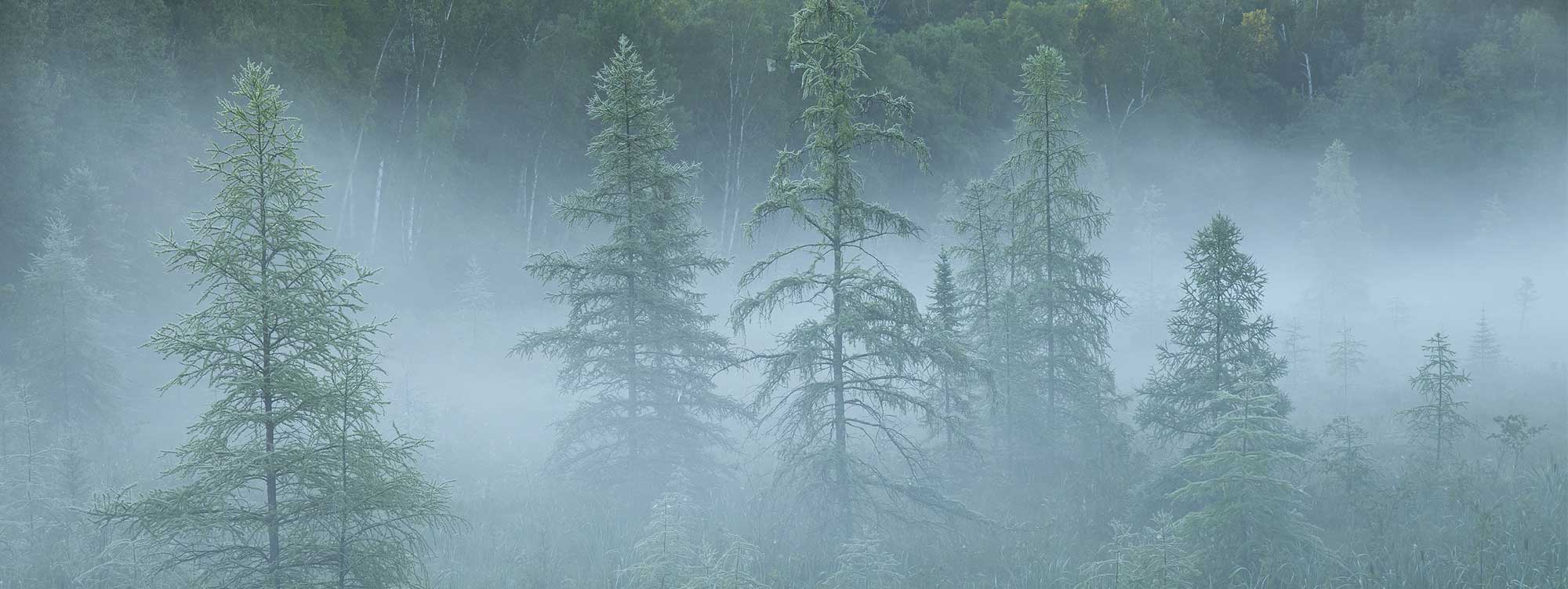 Tamarack Psychiatry Dr. Suzan White Vermont